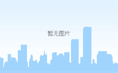 vx310  双10寸三分频三驱动曲线阵列音箱